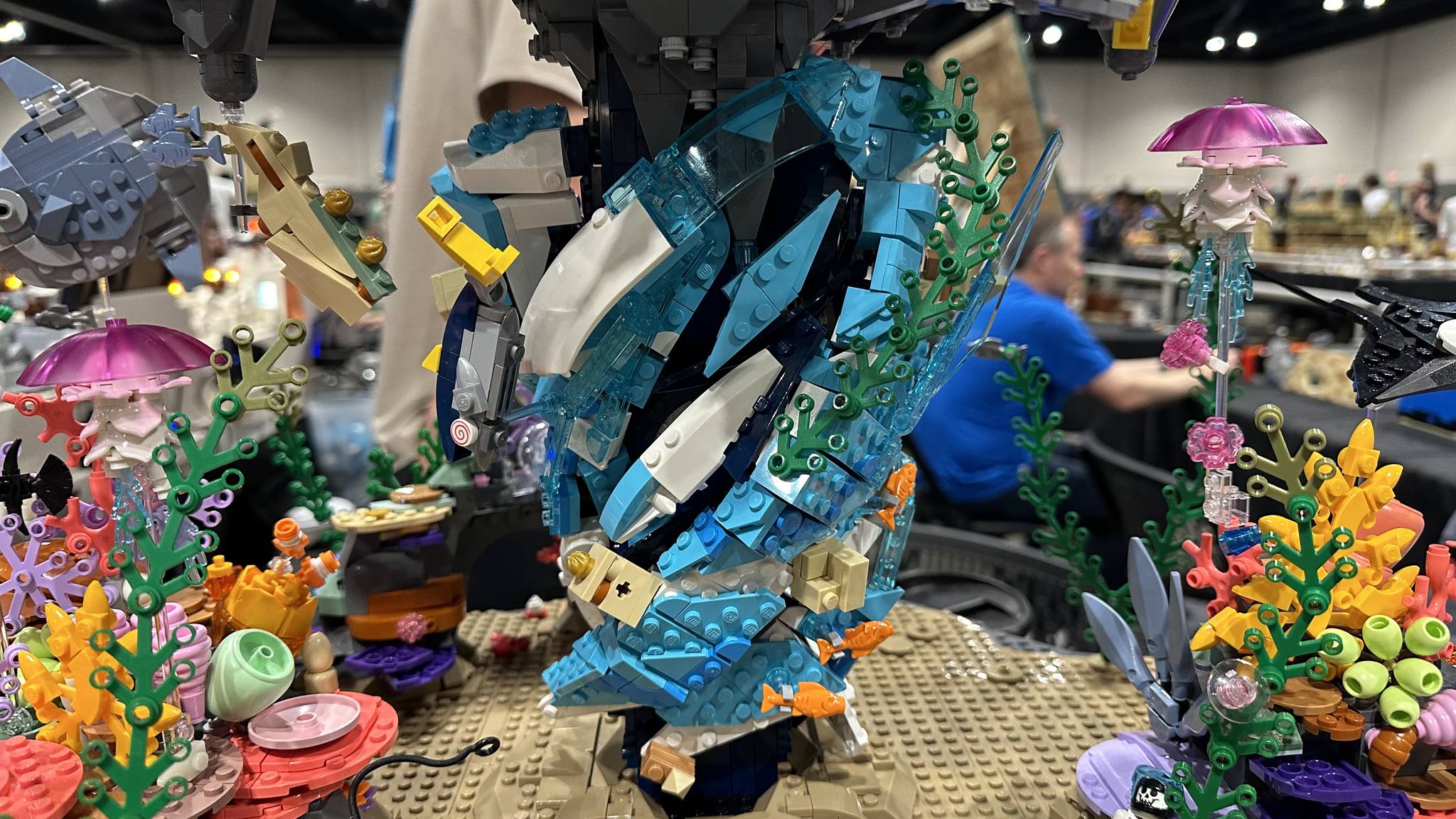 448691508_10223352595458124_705499453200663108_n.jpg