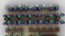 microscale_-_vinyard_2.png