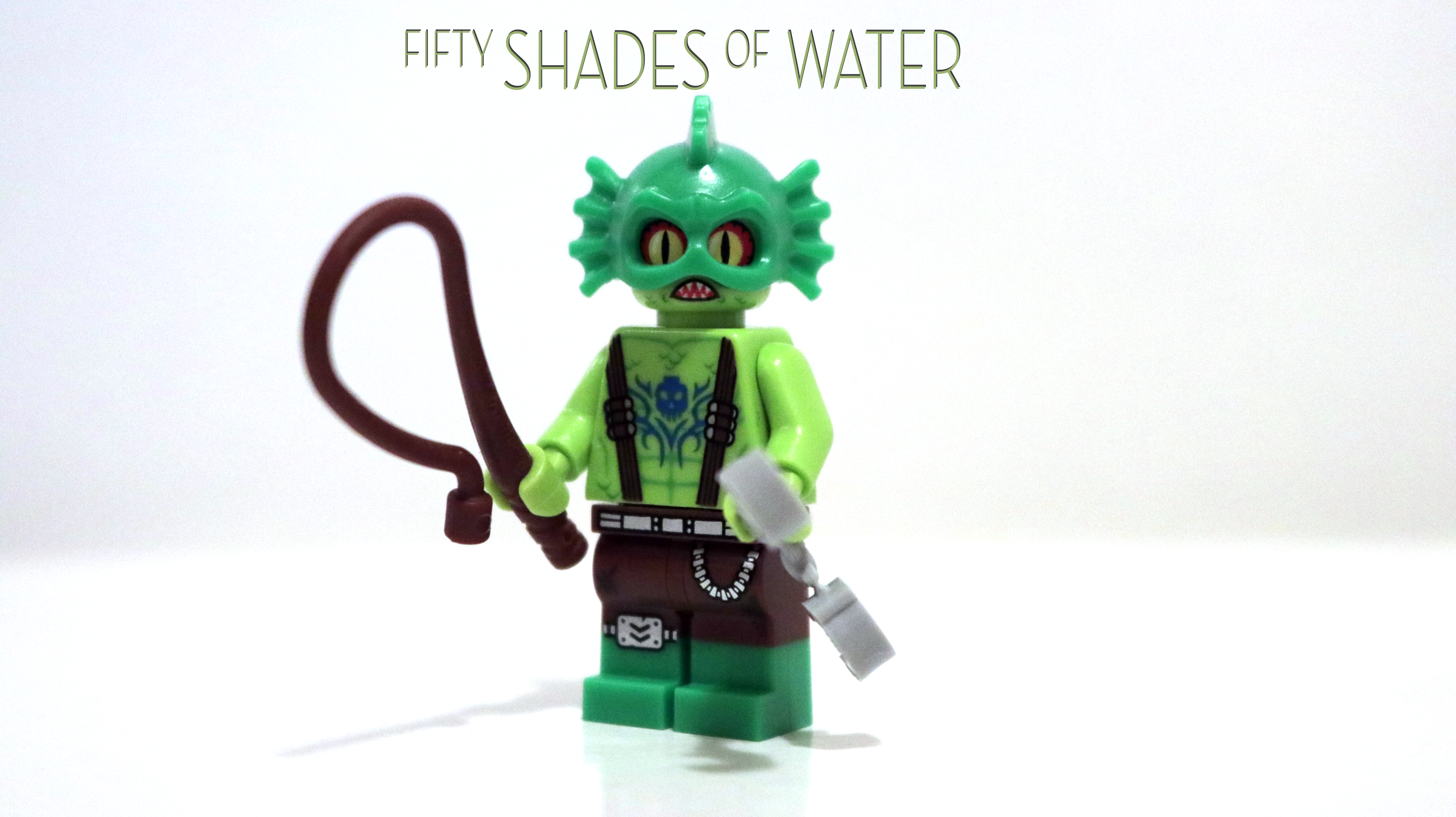 fsow.png
