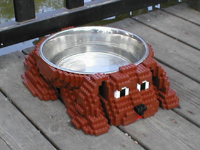 doggy.jpg