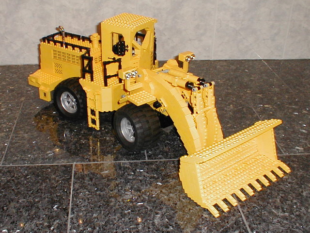 cat119.jpg
