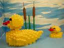 12_brandstore_hamburg_ducks.jpg