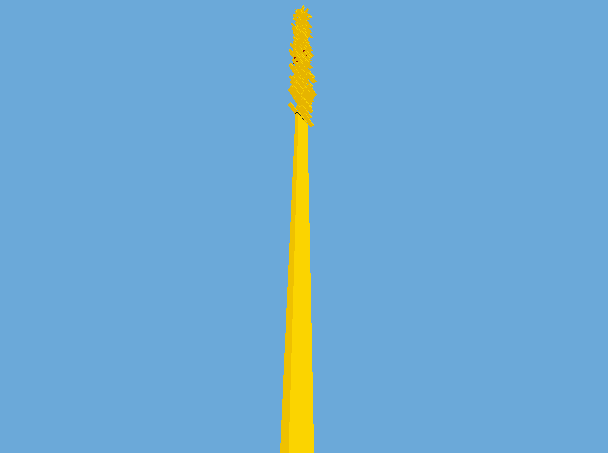 11.bmp