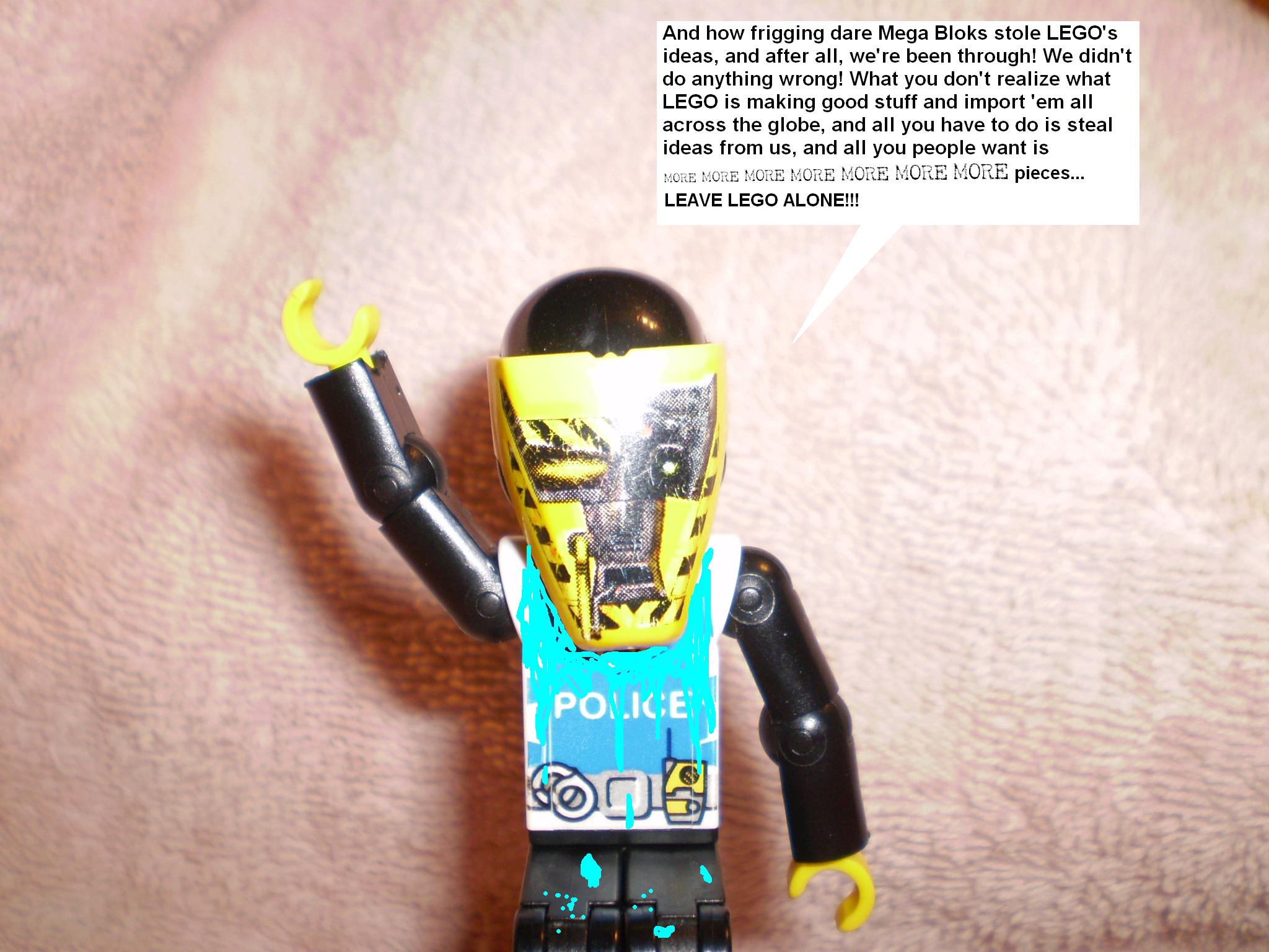 picture_044.jpg