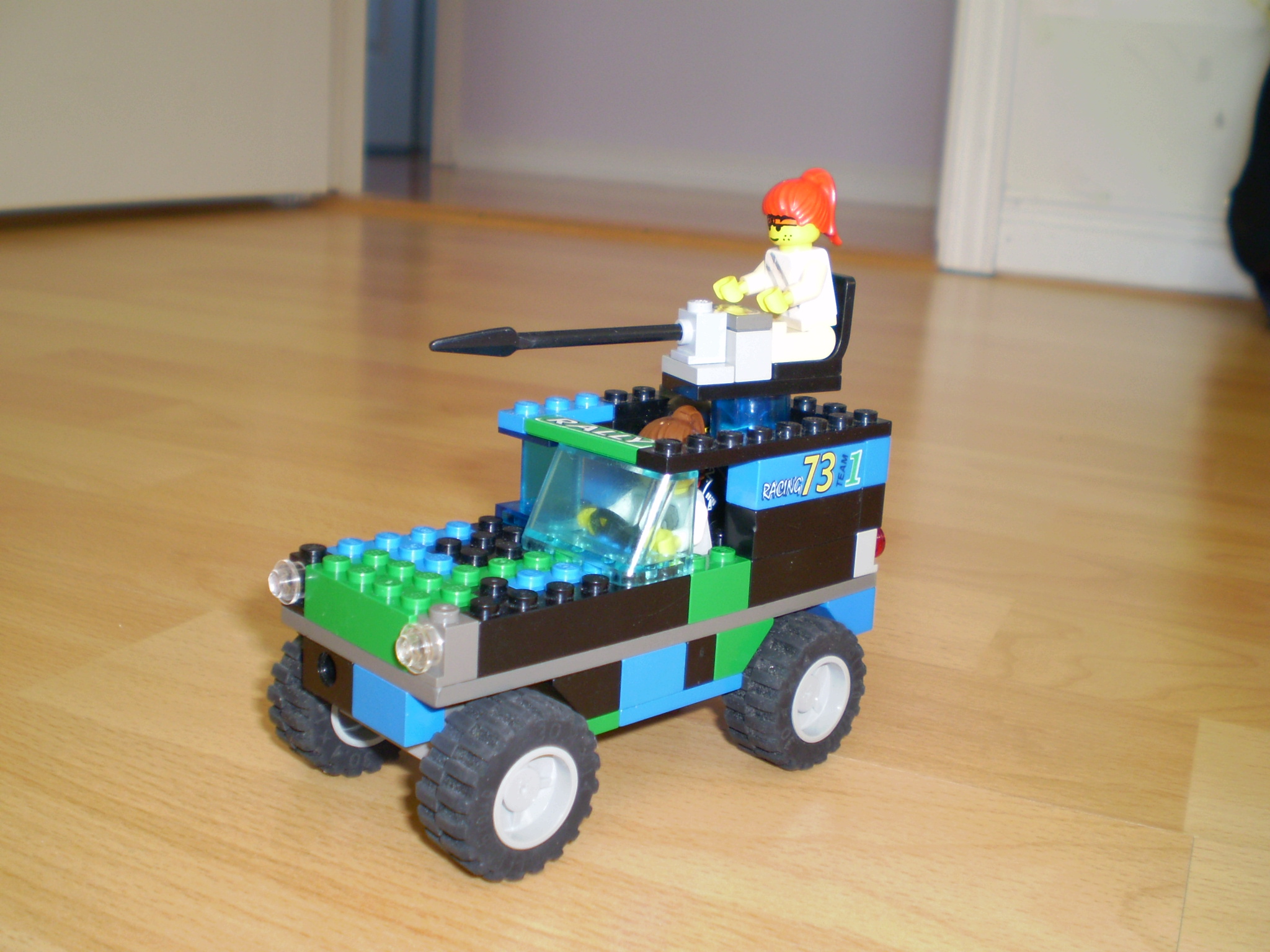 picture_118.jpg
