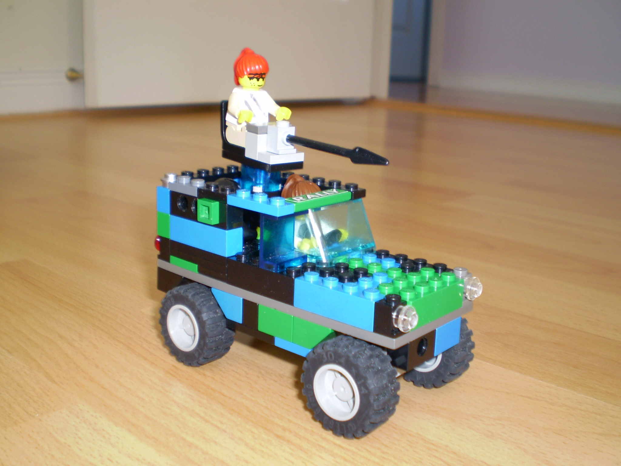 picture_119.jpg