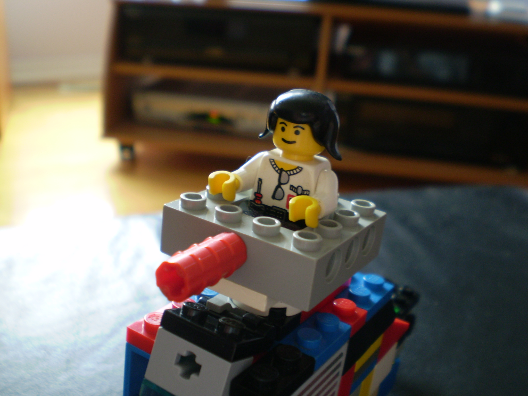 picture_044.jpg