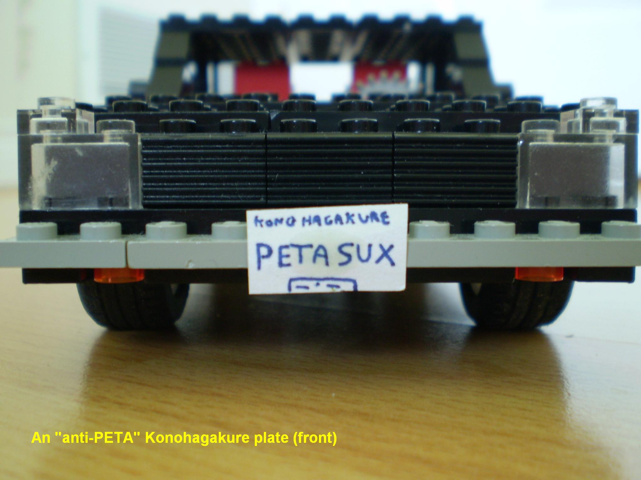 picture_117.jpg