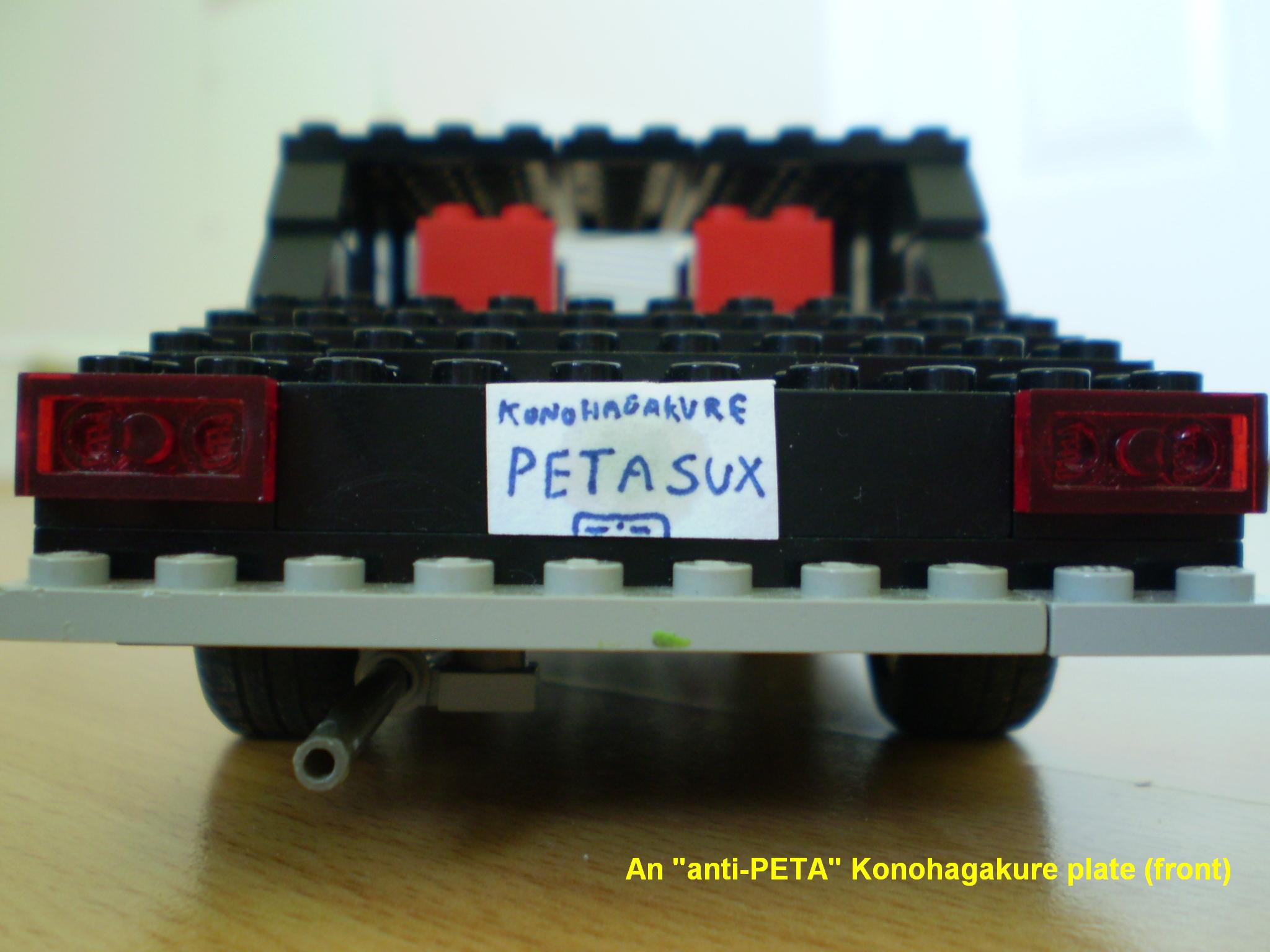 picture_118.jpg