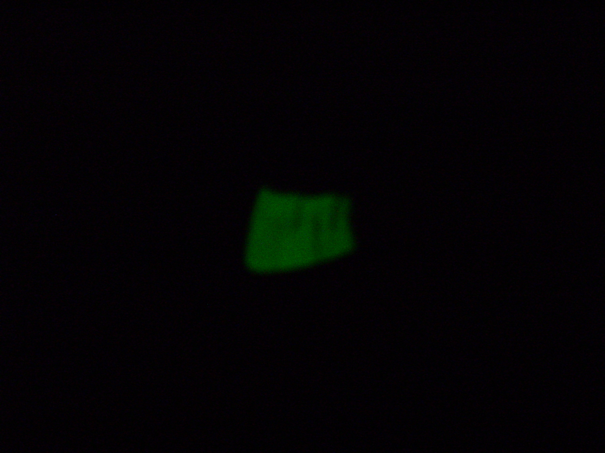 picture_1998.jpg