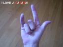 picture_127.jpg