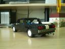 picture_111.jpg