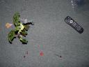 picture_1071.jpg
