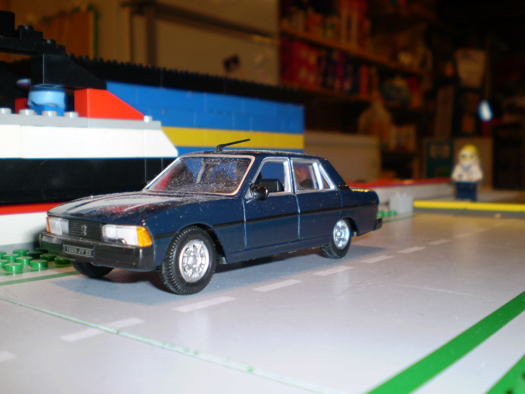 picture_110.jpg