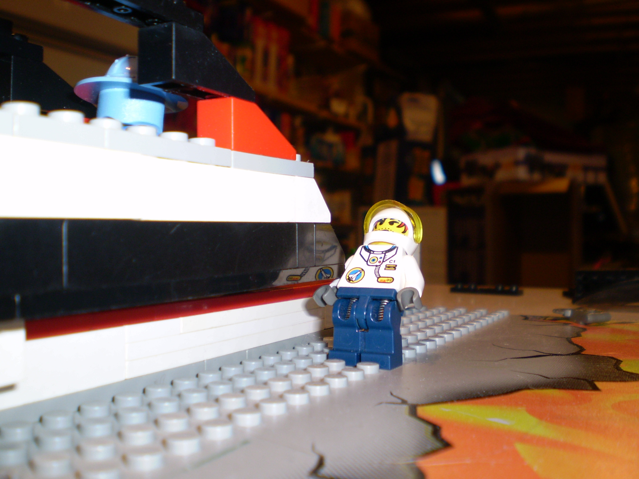 picture_113.jpg