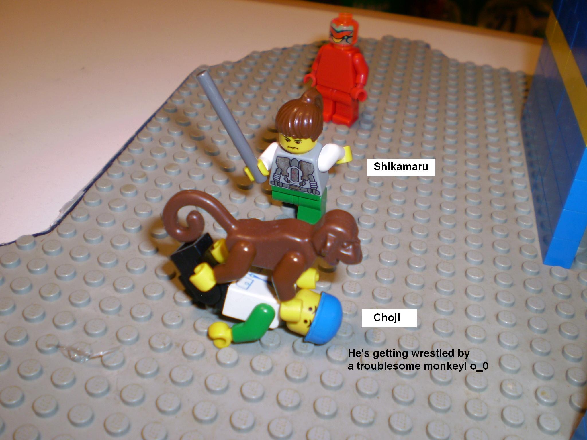 picture_118.jpg