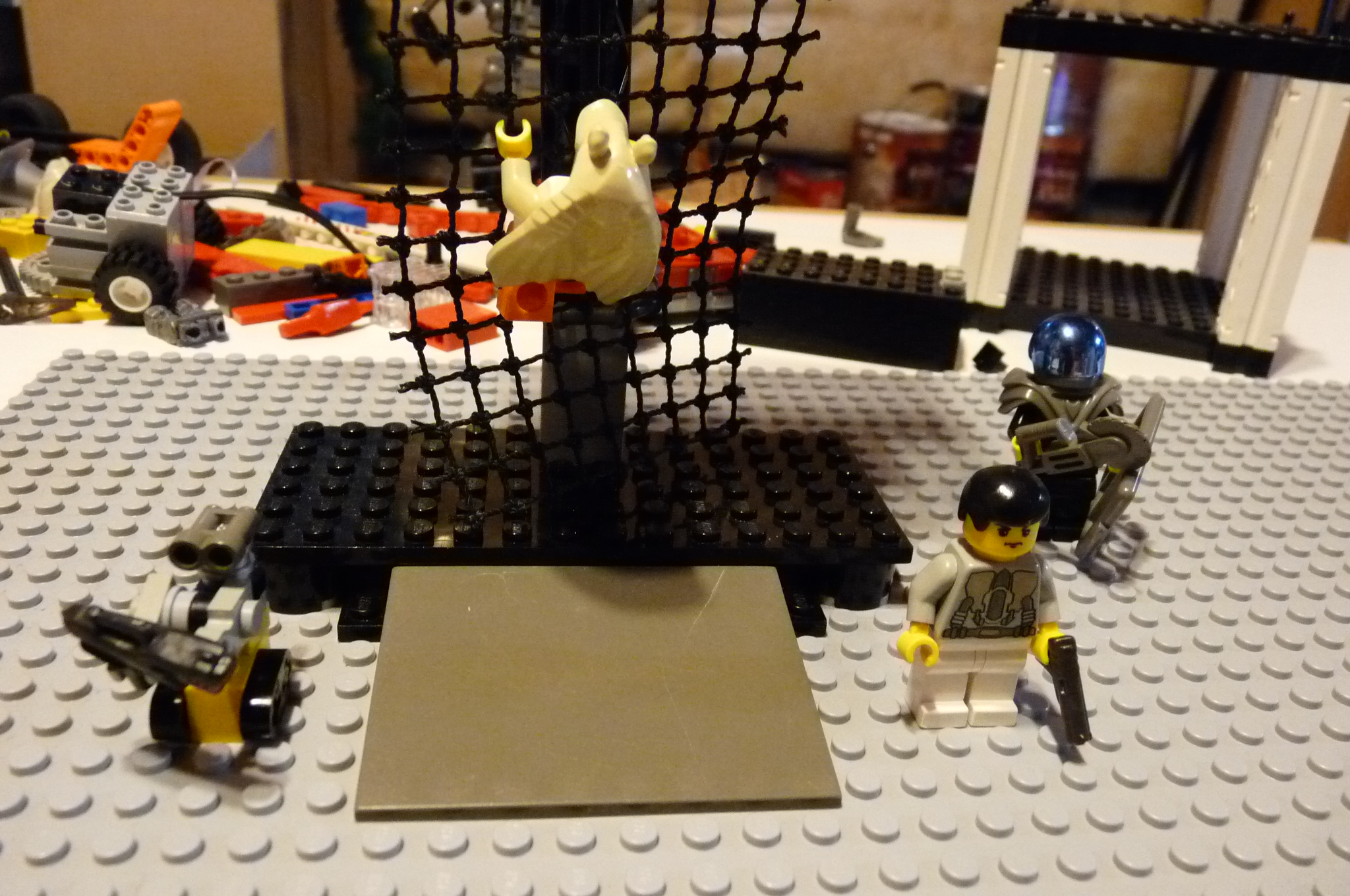 picture_1211.jpg
