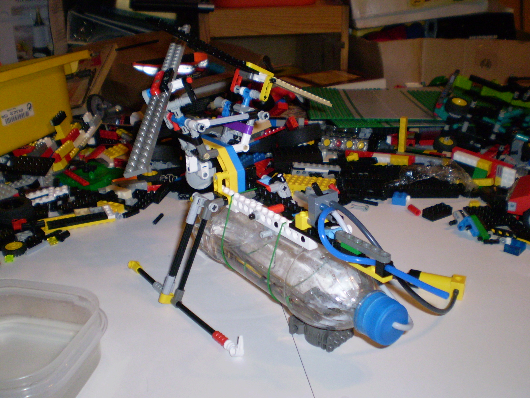 picture_1262.jpg
