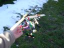 picture_1301.jpg