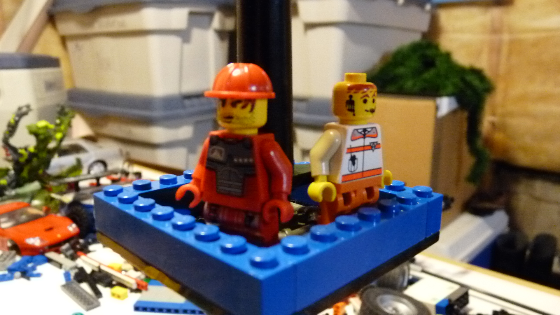 picture_1116.jpg