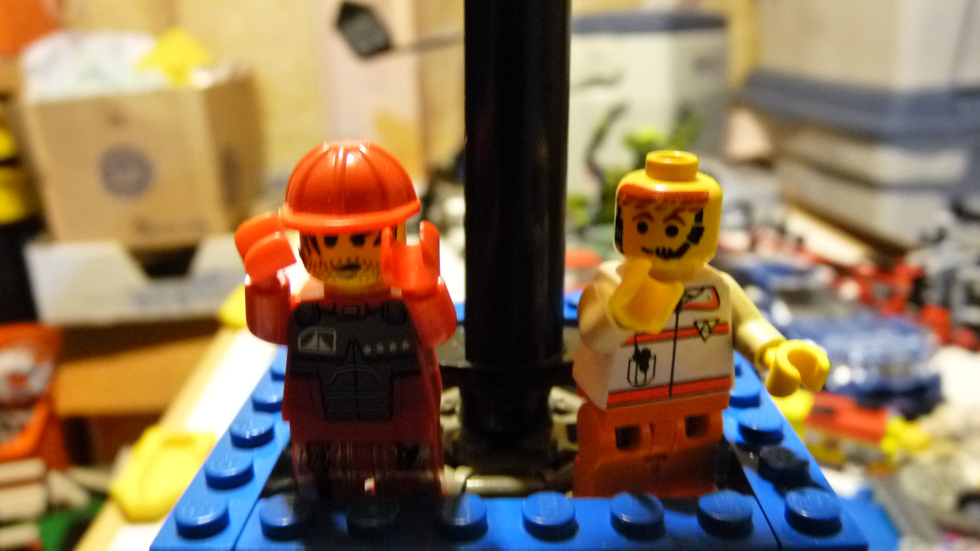 picture_1134.jpg