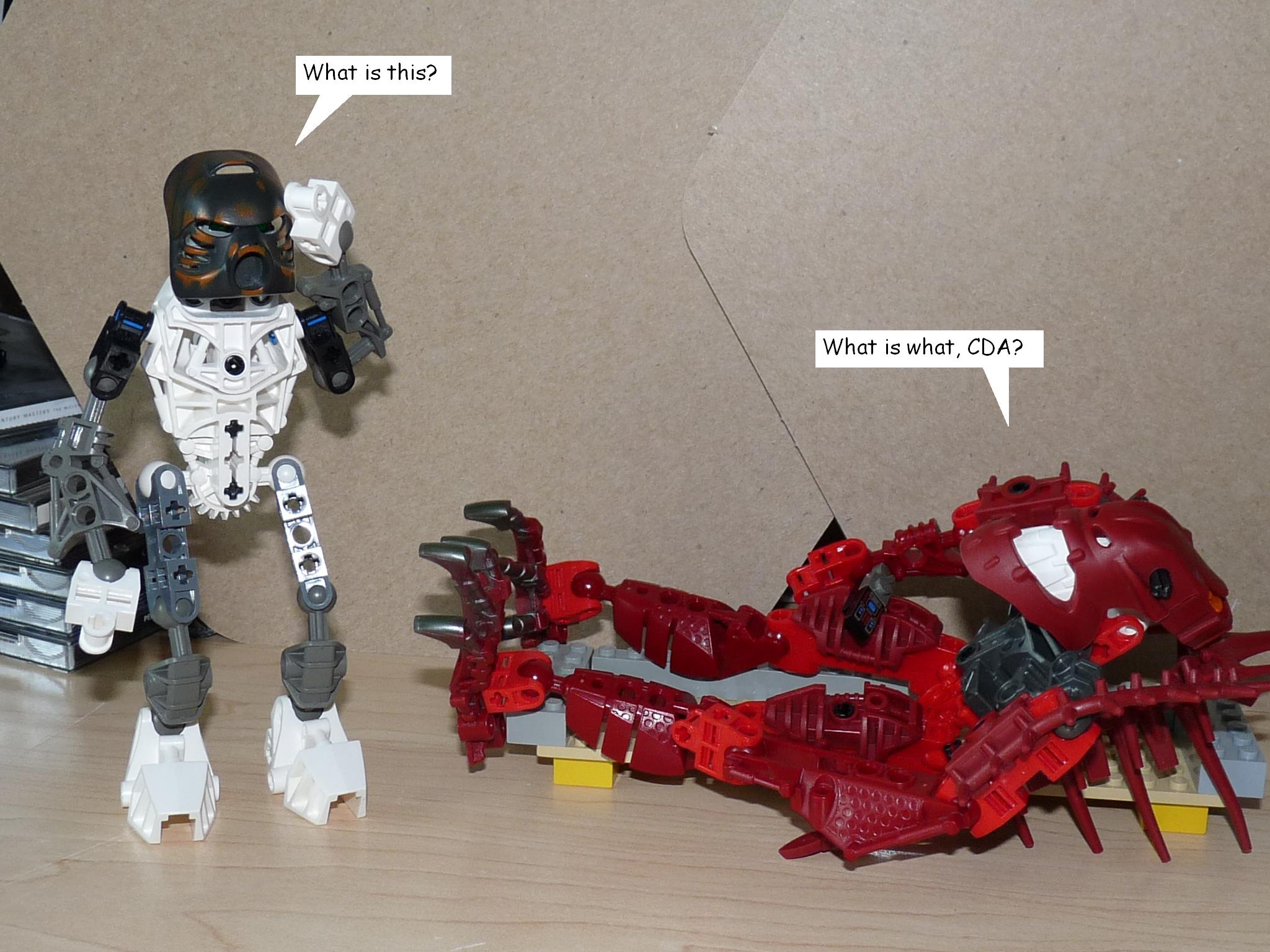 005.jpg