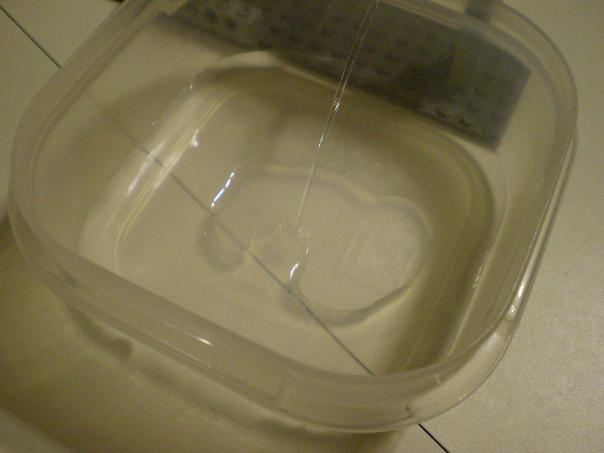 picture_406.jpg