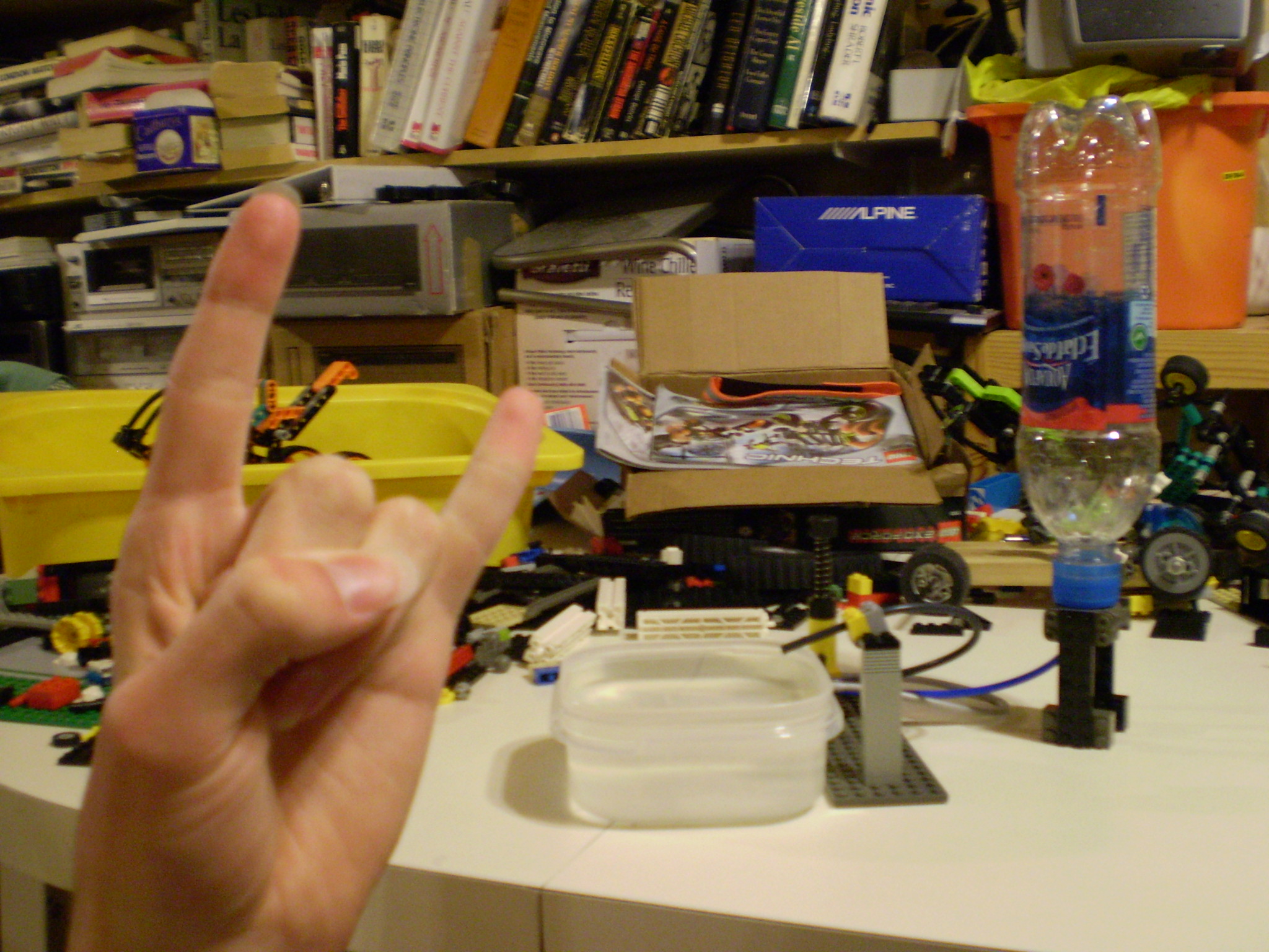 picture_409.jpg
