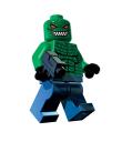 croc.jpg