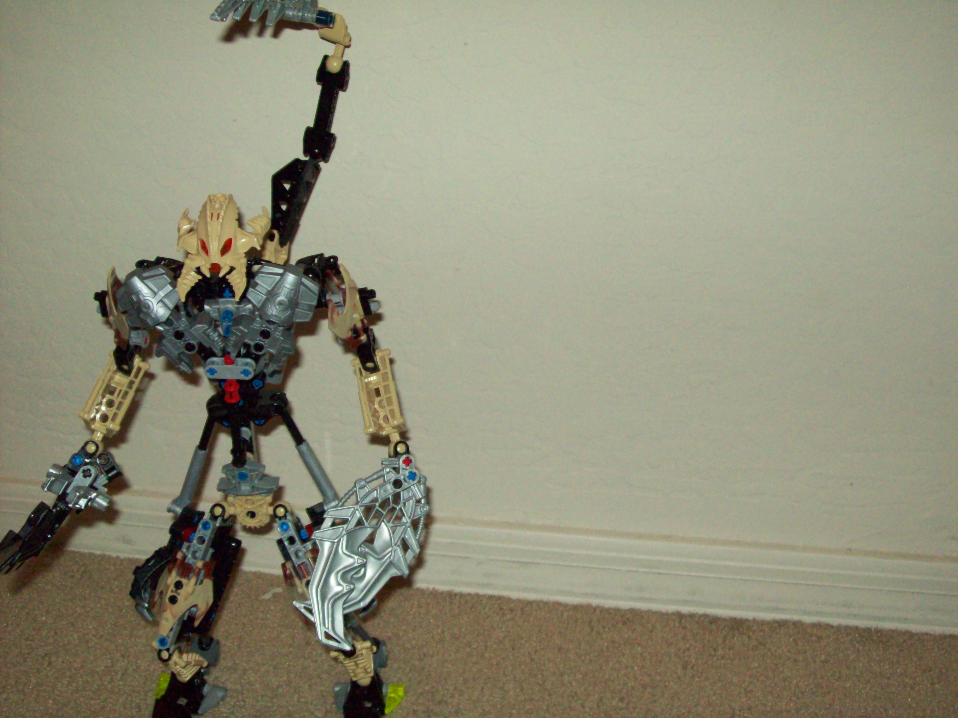 100_0291.jpg