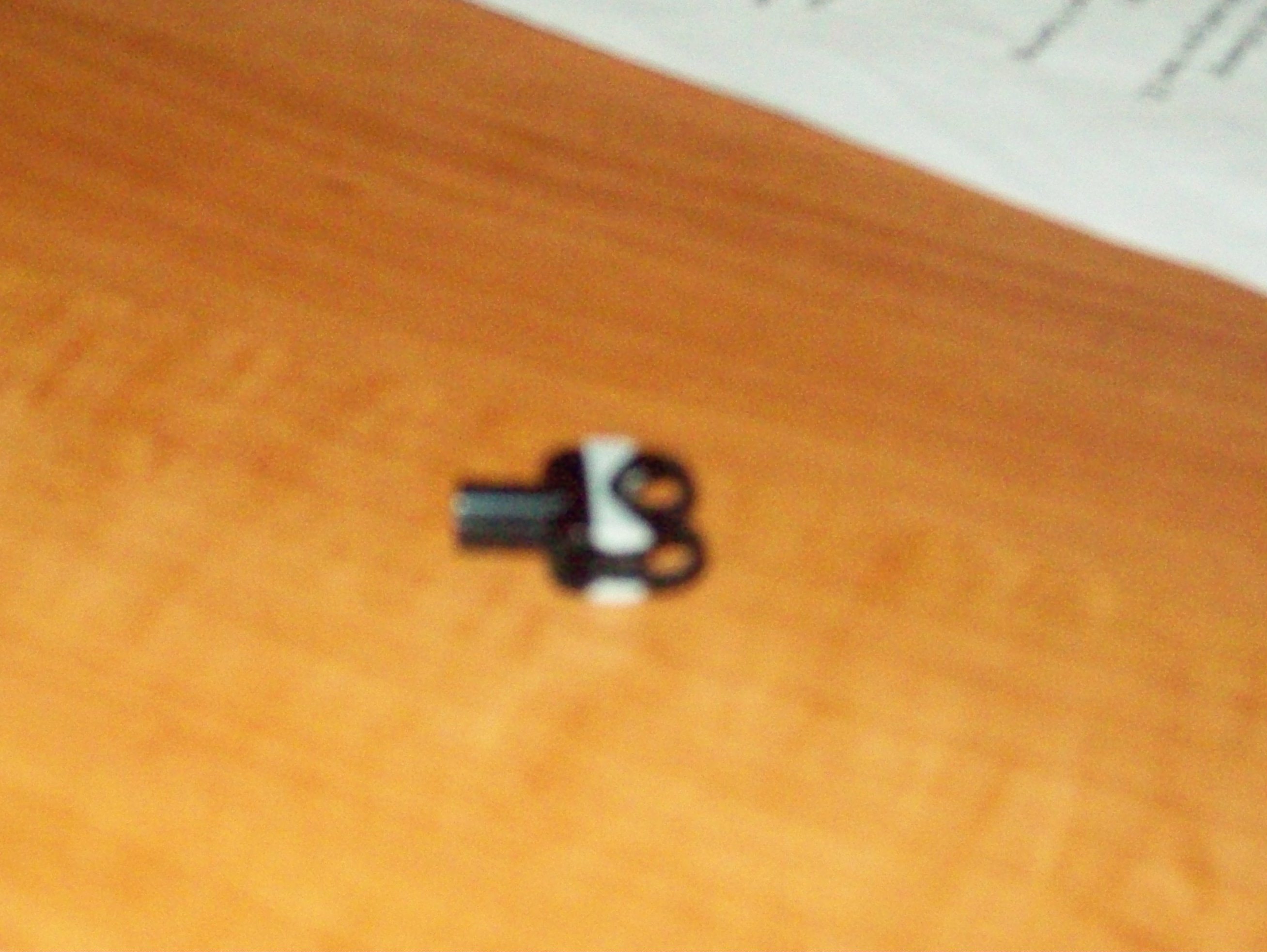 100_0707.jpg