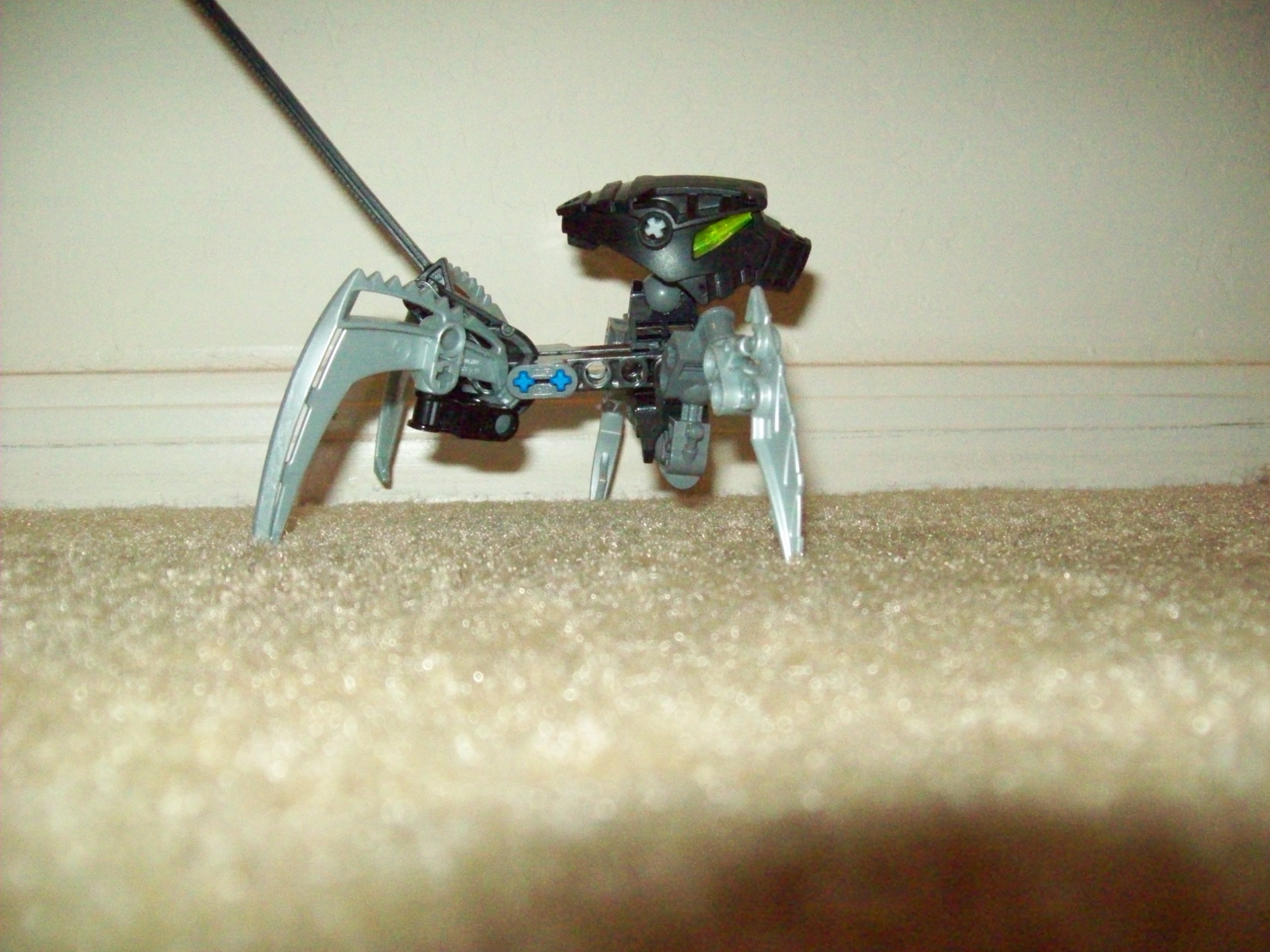 100_0325.jpg