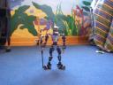 new_camera_pictures_155.jpg