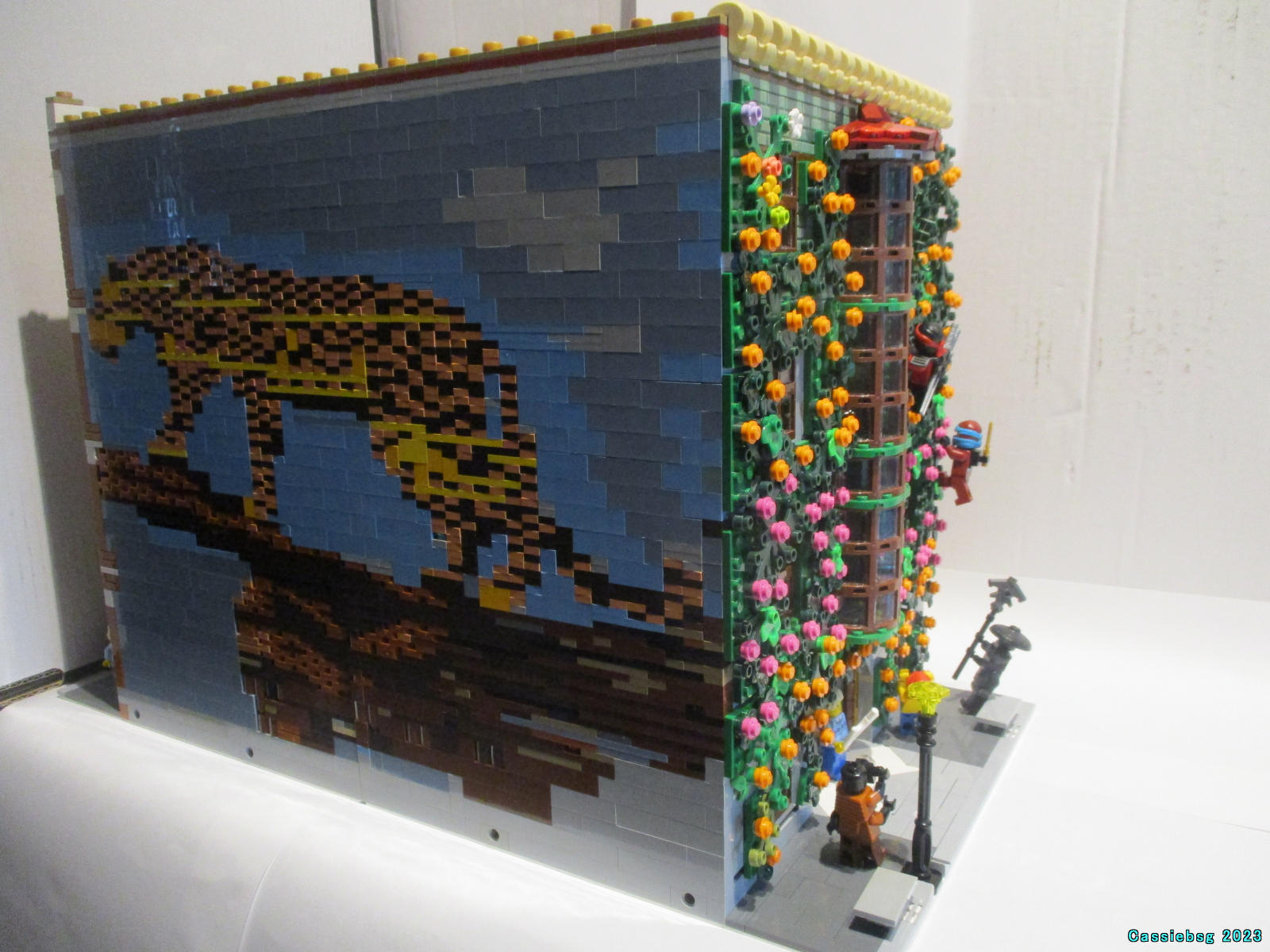 leopard_house_11.jpg