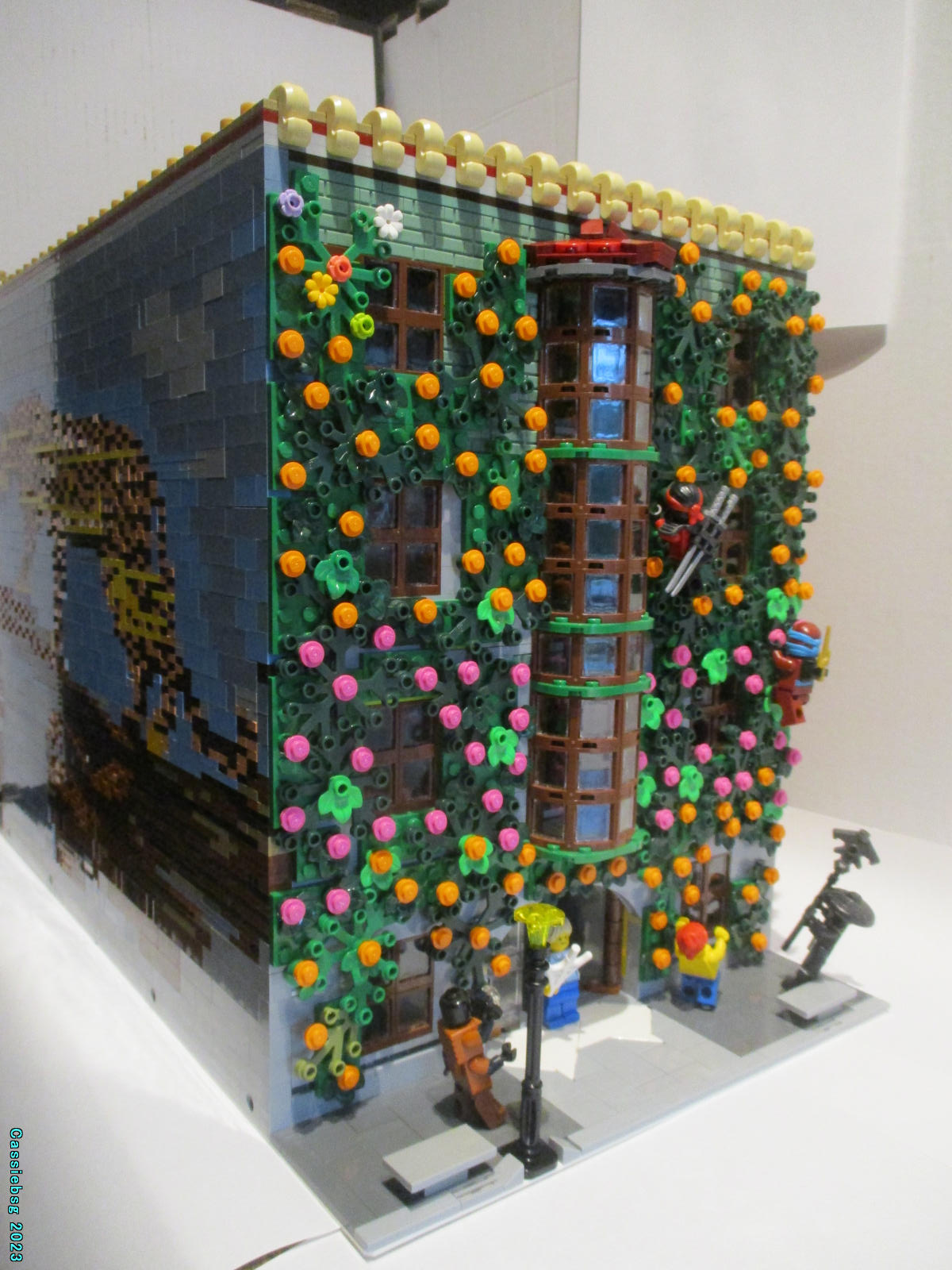 leopard_house_12.jpg
