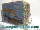LeopardHouse