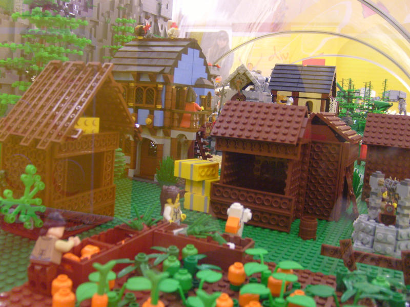 eci2010-029.jpg