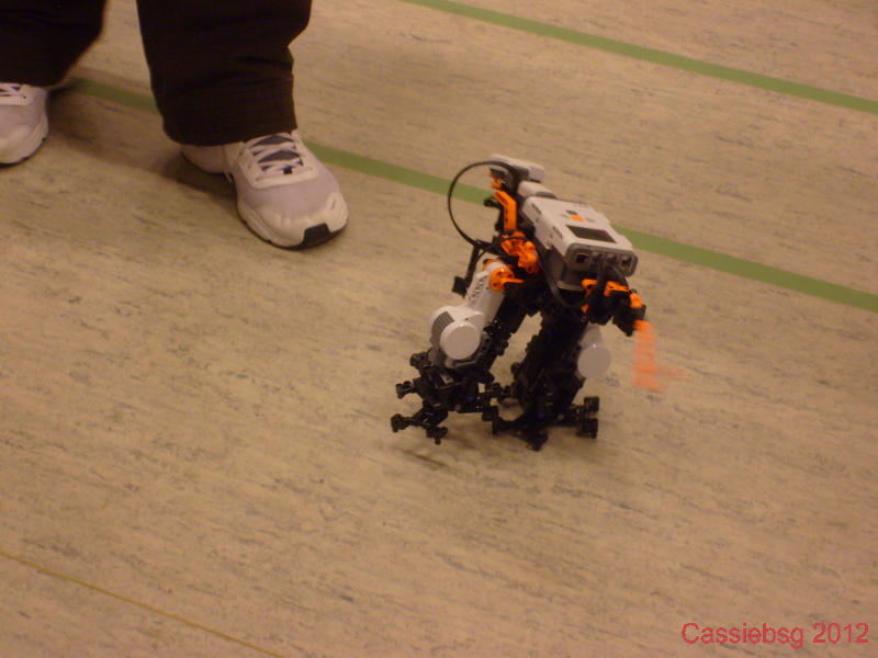 lfw_sept_2012.30.jpg