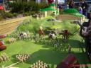 llsw42.jpg
