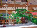 lemhallen2011_28.jpg