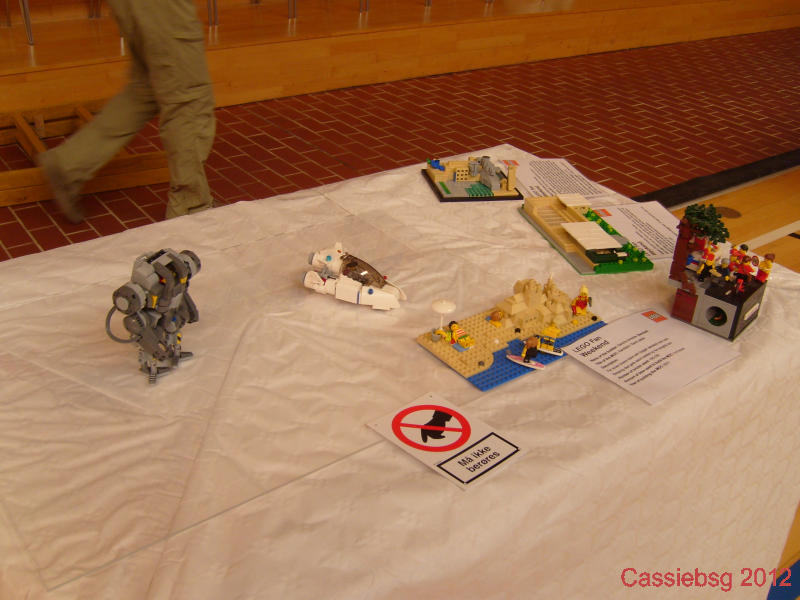 lem_hallen_2012.14.jpg