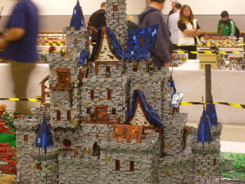 sfw2015dk_144.jpg