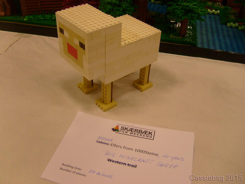 sfw2015dk_39.jpg
