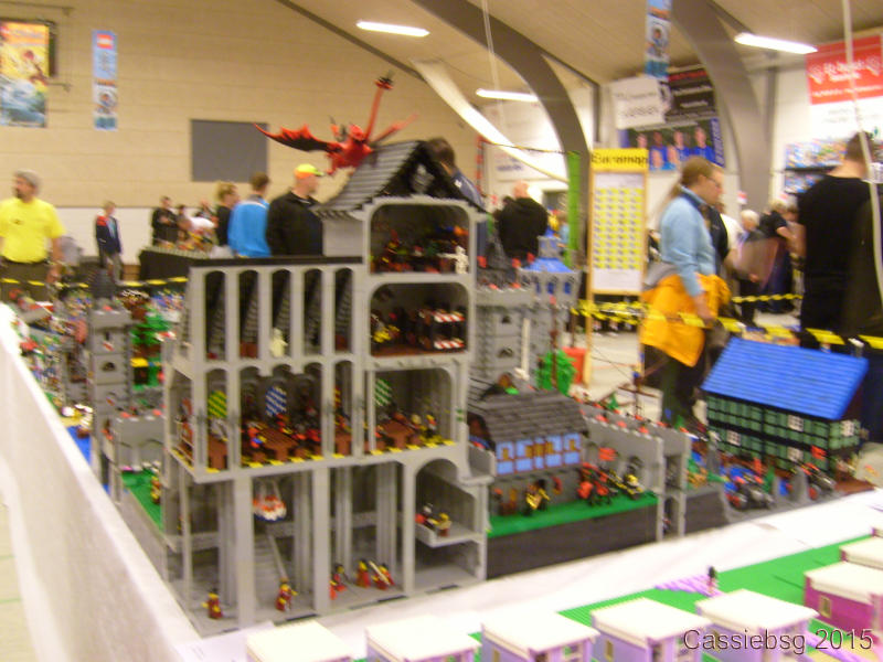 sfw2015dk_80.jpg