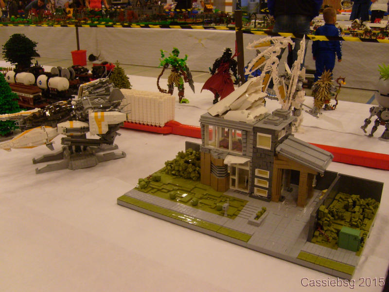 sfw2015dk_90.jpg