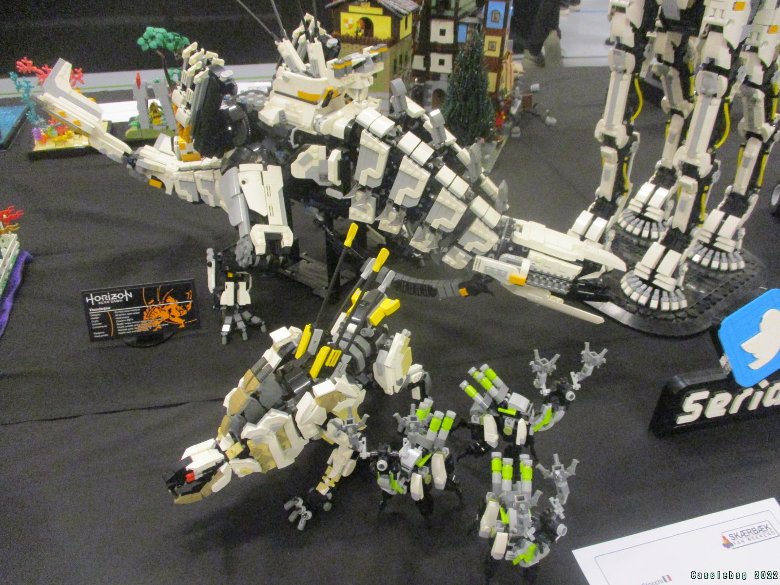 sfw2022dk_087.jpg