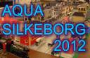 Silkeborg2012