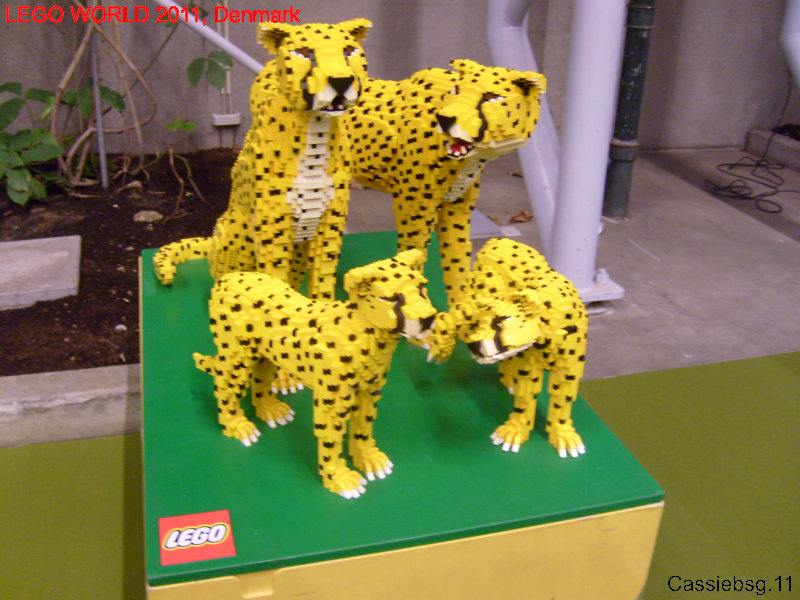 lw2011dk.098.jpg