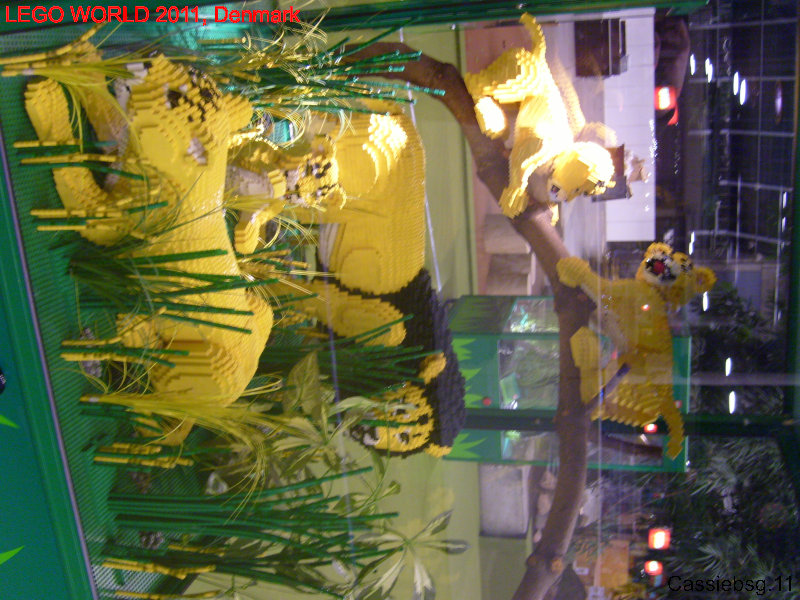 lw2011dk.099.jpg