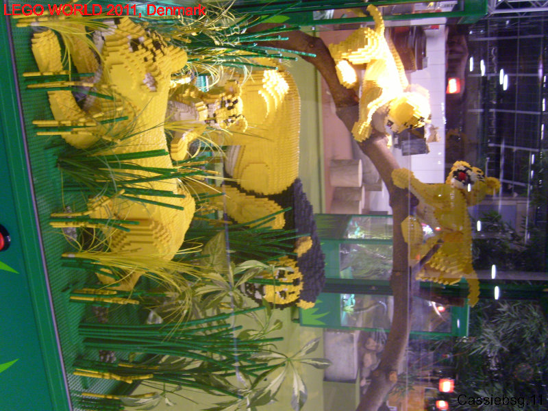 lw2011dk.100.jpg